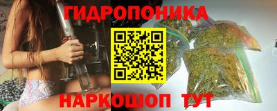 прущие грибы Тверь