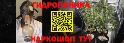 прущие грибы Тверь