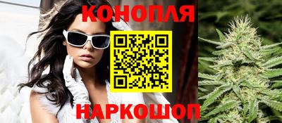 прущие грибы Тверь