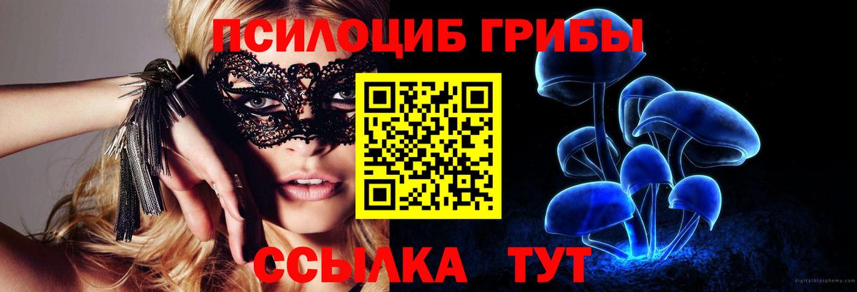 Баксан  Псилоцибиновые грибы Cubensis  Вход с VPN 